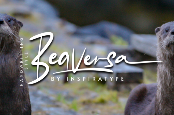 Beaversa Font for Modern Brand Campaigns