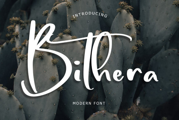 Bithera: The Modern Handwritten Font for Makers