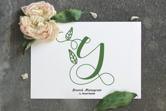 Branch Monogram: A Dainty Script Font for Web Design