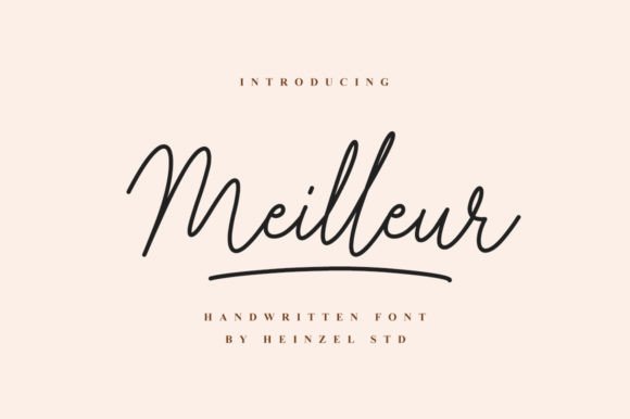 Meilleur: Elegant Script Font for Web Design