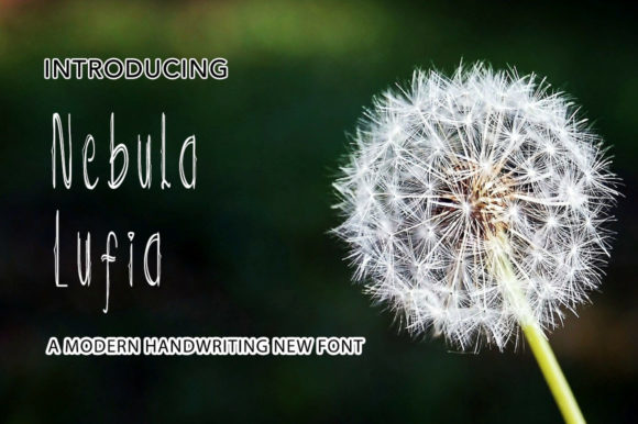 Nebula Lufia: A Delicate Script Font for Web Design