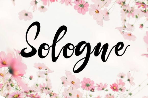 Sologne: The Elegant Script Font for Modern Campaigns